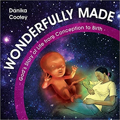 Wonderfully Made: God’s Story of Life from Conception to Birth